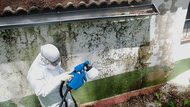 Trusted Bathroom Mold Removal service in Estes Park, CO - Cheap Mold Removal